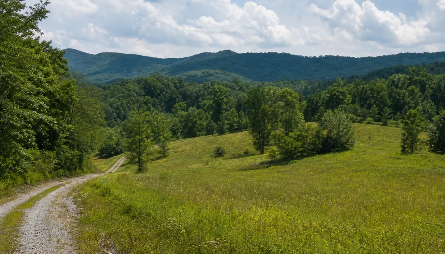 Texas Land Buyers section image 2